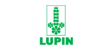 Lupin